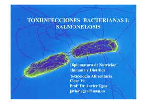 TOXIINFECCIONES BACTERIANAS I: SALMONELOSIS