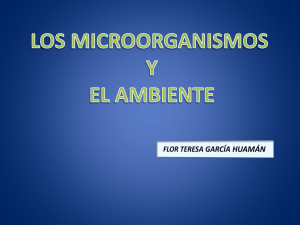 los microorganismos y el ambiente