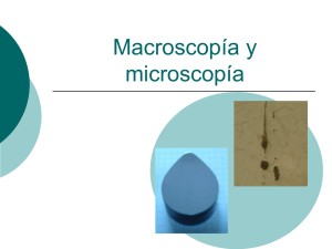 Macroscopía y microscopía