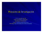Proyectos de Investigación - Homepages