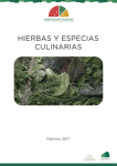 Hierbas Y Especias Culinarias - Febrero 2017