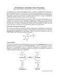 Metabolismo de Aminoácidos y Nucleótidos