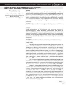 7_arturo rmz_analisis preliminar