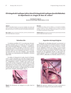 El tri&aacute;ngulo del repliegue ( plica ) dural (tri&aacute;ngulo del repliegue