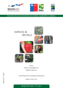 manual de frutilla - INIA Biblioteca Digital