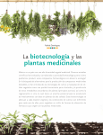 La biotecnología y las plantas medicinales
