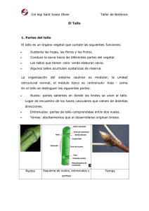 El Tallo - IHMC Public Cmaps (3)