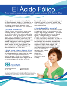 El Acido Folico - Spina Bifida Association