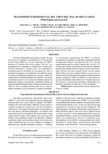 TRANSMISIÓN EXPERIMENTAL DEL VIRUS DEL MAL DE RÍO