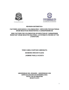 Ver/Open - Universidad del Rosario