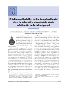 El ácido acetilsalicílico inhibe la replicación del virus de la hepa us