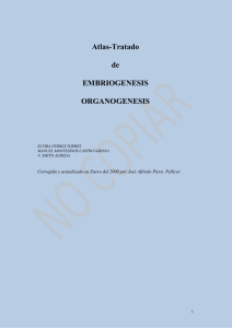 Atlas-Tratado de EMBRIOGENESIS ORGANOGENESIS