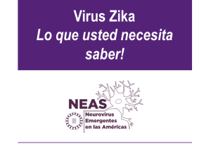 Virus Zika Lo que usted necesita saber