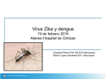 Virus Zika y dengue - Cátedra de Enfermedades Infecciosas