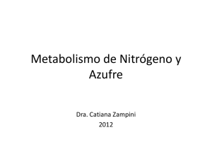 Metabolismo de Nitrógeno y Azufre