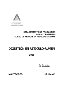 digestión en retículo-rumen - Sitio web del Departamento de