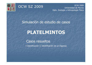 to get the file - OCW - Universidad de Murcia