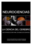 Neurociencias la ciencia del cerebro