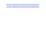 Tema 7. Regulación endocrina del metabolismo.