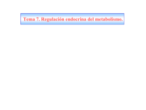 Tema 7. Regulación endocrina del metabolismo.