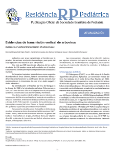 Evidencias de transmisión vertical de arbovirus