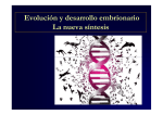 Evolución y desarrollo embrionario La nueva síntesis