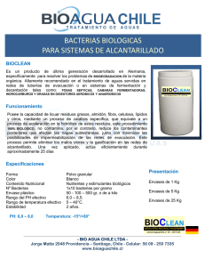Bacterias Bioclean - Bio Agua Chile Ltda.