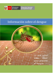 Lo que usted debe saber para prevenir el dengue