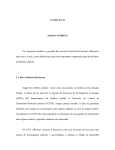 Capítulo 2. Marco Teórico (archivo pdf, 49 kb)