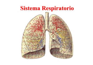 Presentación de PowerPoint - Aula Virtual de Anatomía Humana