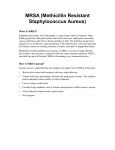 MRSA (Methicillin Resistant Staphylococcus Aureus)