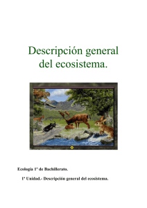 Descripción general del ecosistema.