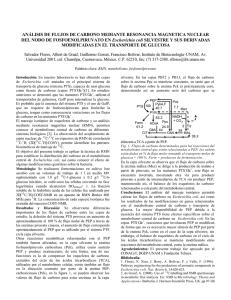 ANÁLISIS DE FLUJOS DE CARBONO MEDIANTE RESONANCIA