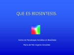 Qué es Biosíntesis - School Biosynthesis España