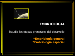 Embriología_tejidos _histogénesis