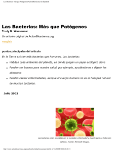 Las Bacterias: Más que Patógenos