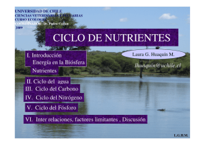 ciclo de nutrientes - U