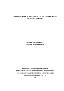 plan de marketing de las peluquerias capelli studio de