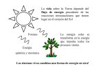 La vida sobre la Tierra depende del flujo de energía procedente de