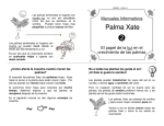 Palma Xate - IIES