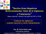 “Bacilos gram negativos multirresistentes: valor de la vigilancia y