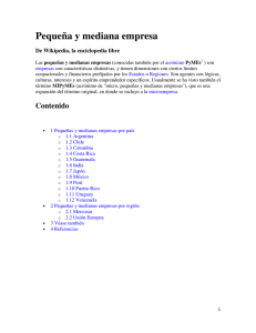 Peque&ntilde;a y mediana empresa