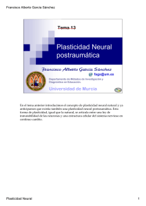 Plasticidad Neural postraumática - OCW