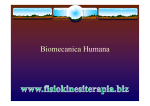 Biomecanica Humana - Fisiokinesiterapia
