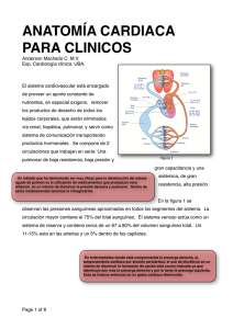 Anatom&iacute;a CV. - Veterinaria Machado