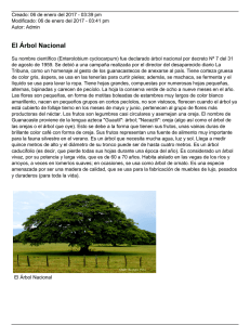 El Árbol Nacional