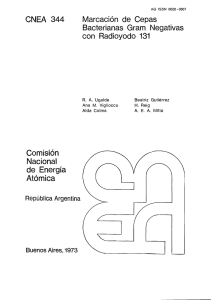 Marcación de cepas bacterianas Gram negativas con