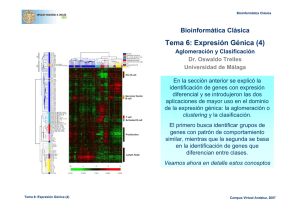 Tema 6: Expresión Génica (4)