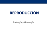 reproducción - IES Gabriela Mistral