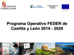 Resumen Programa Operativo FEDER de Castilla y León 2014
